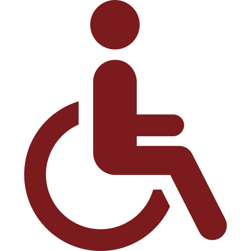 Adaptadas a personas movilidad reducida